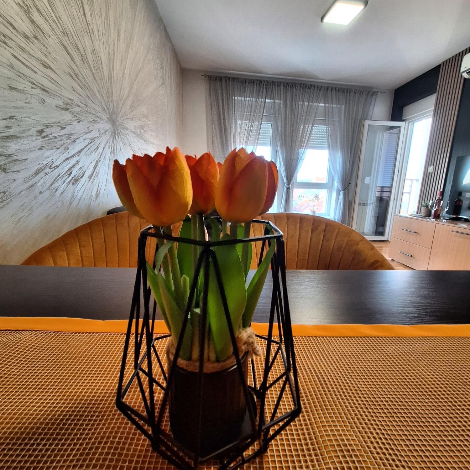 Apartamento Stan Na Dan Aurora Požarevac Exterior foto