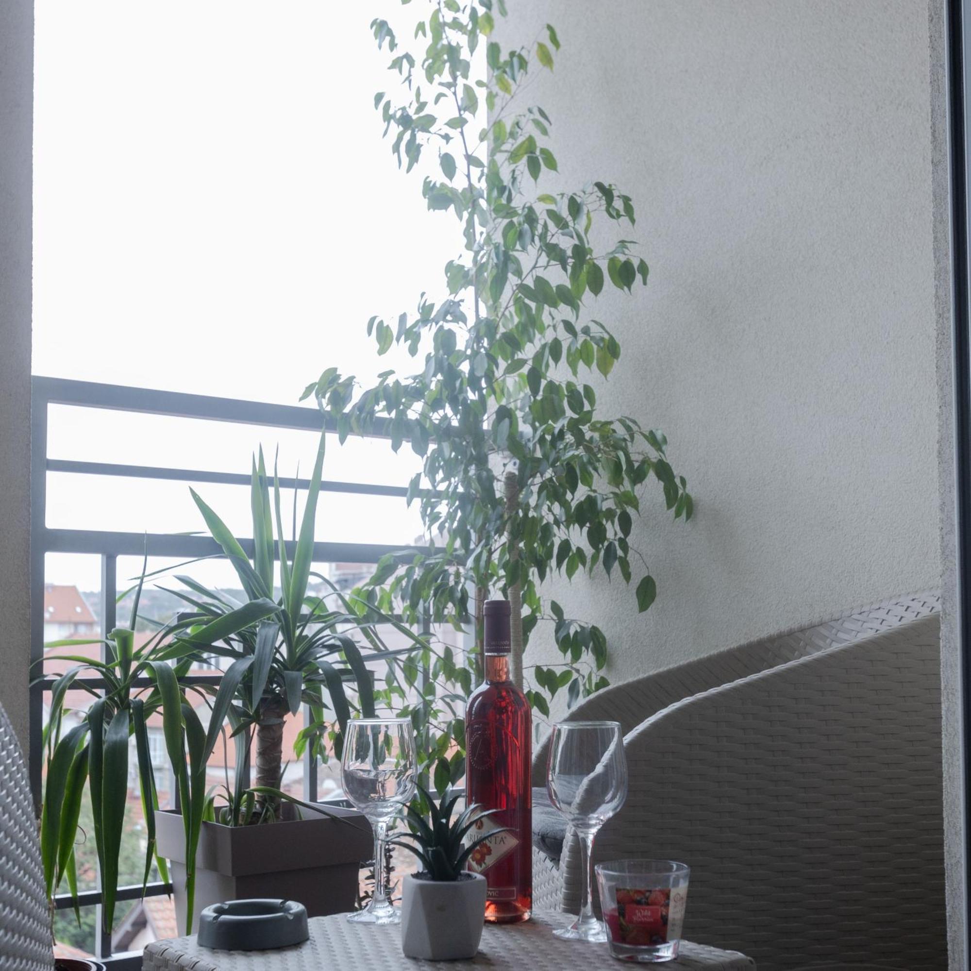 Apartamento Stan Na Dan Aurora Požarevac Exterior foto