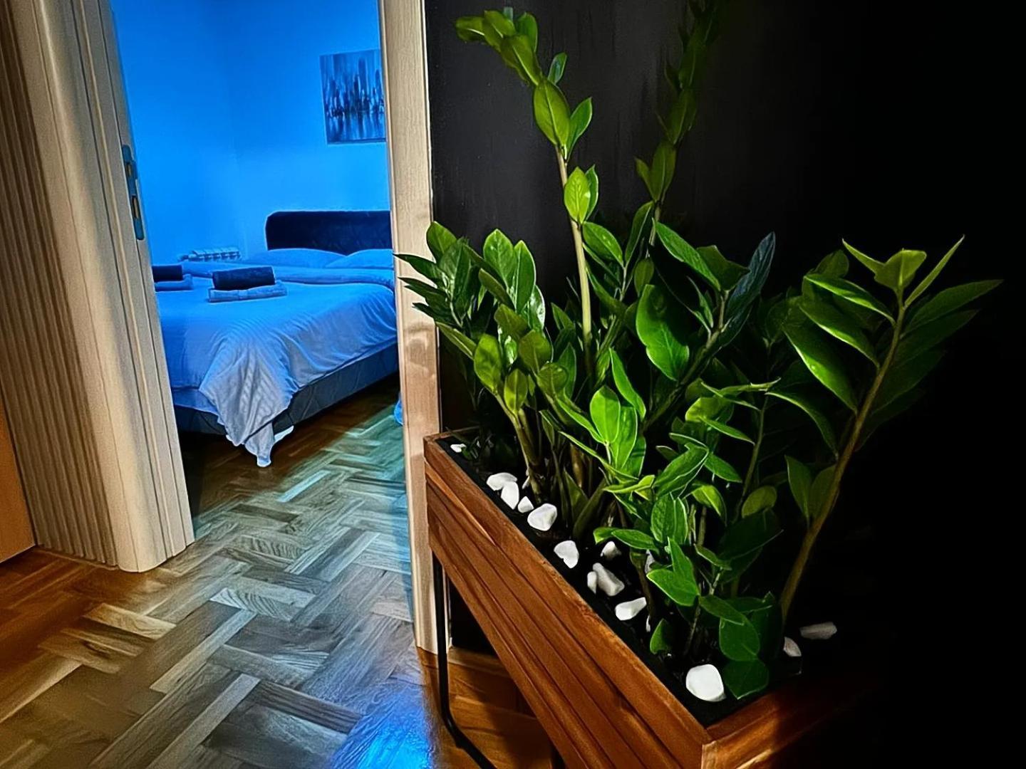 Apartamento Stan Na Dan Aurora Požarevac Exterior foto
